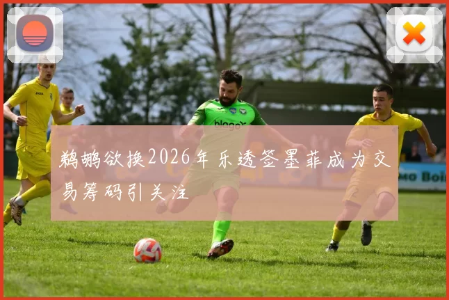 鹈鹕欲换2026年乐透签墨菲成为交易筹码引关注