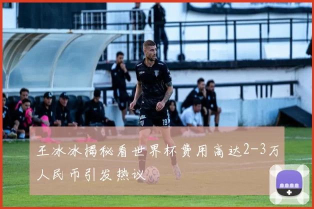 王冰冰揭秘看世界杯费用高达2-3万人民币引发热议
